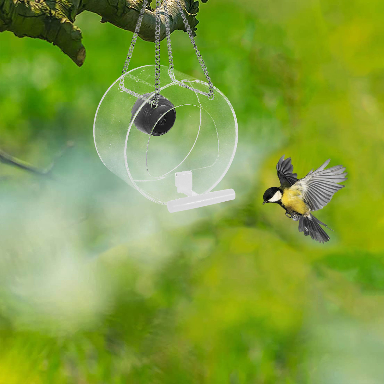 Smart Garden Video - 1 Stück Smart-Kamera mit Live-Streaming, transparentes