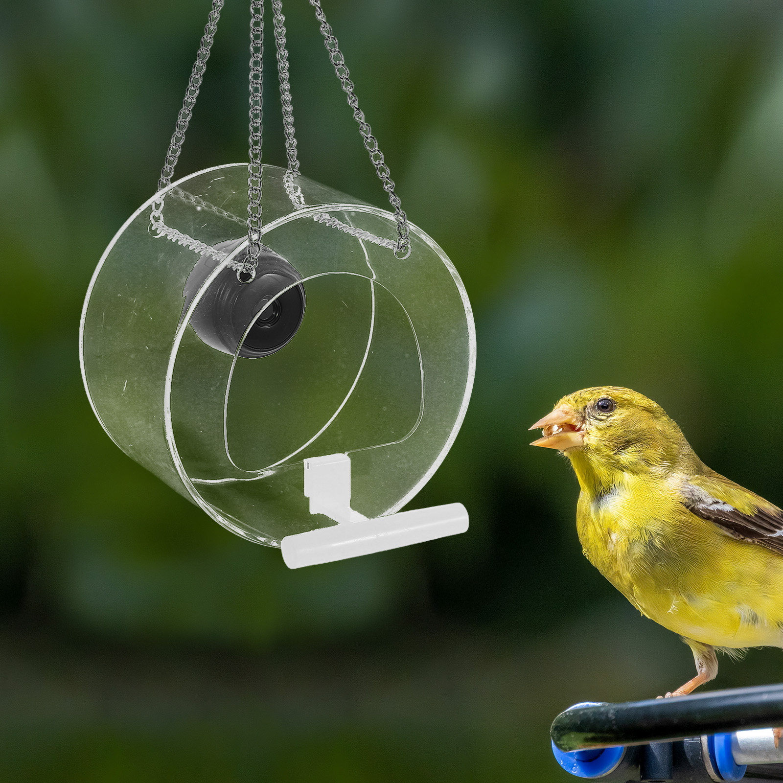 Smart Garden Video - 1 Stück intelligente Plattform mit Live-Videokamera,