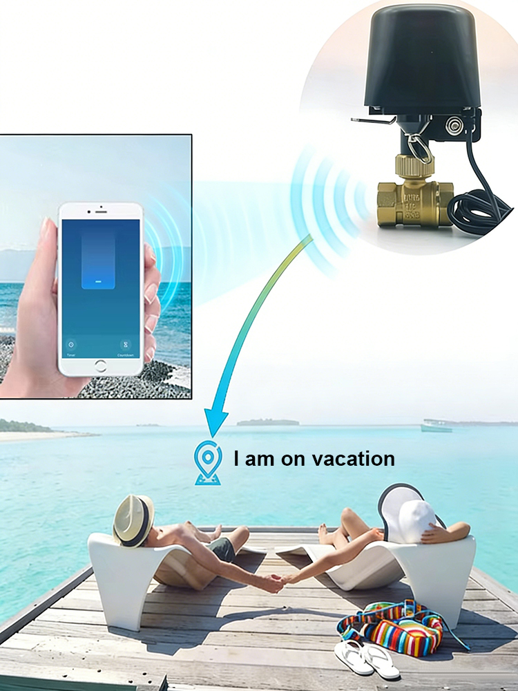 Tuya Smart Wasserventil ​   DN – Smart Garden Home Assistant Bewertung und Preis