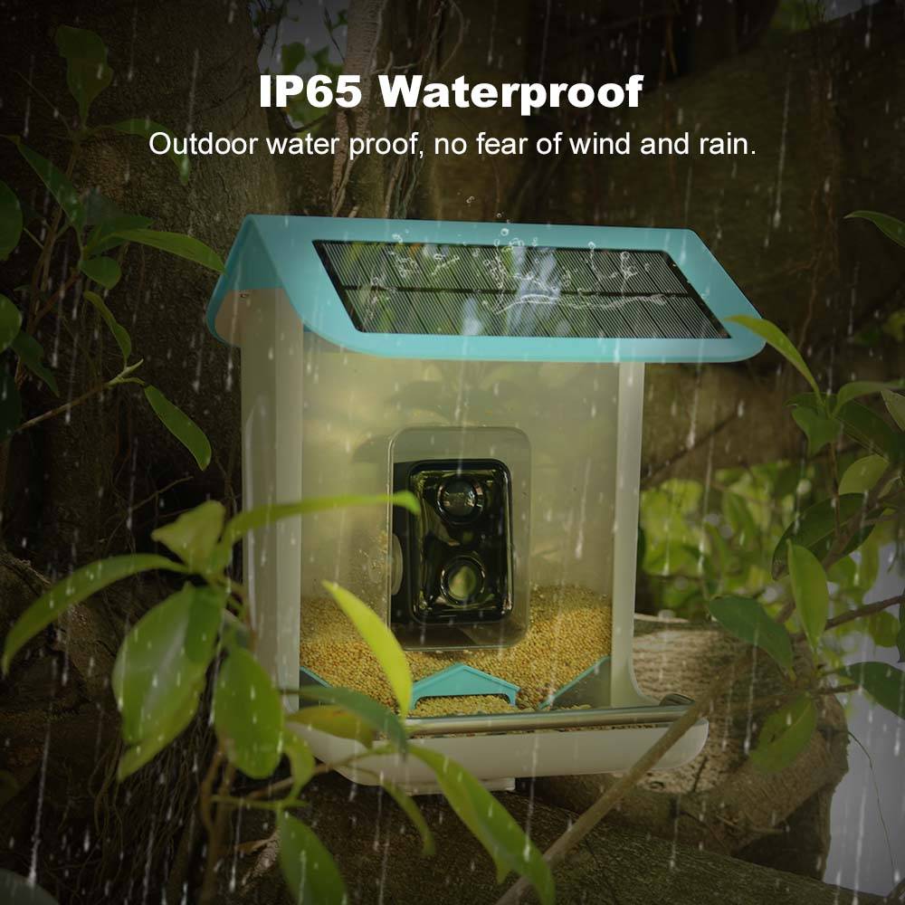STLFOOutdoor Wildlife Wifi Cam – Smart Garden Video Bewertung und Preis