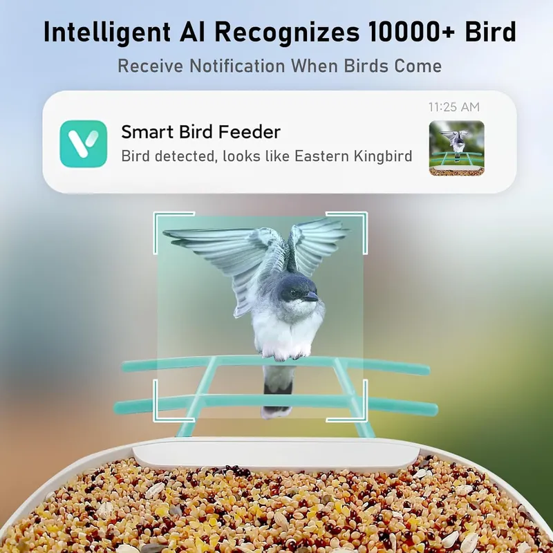 Intelligenter Vogelfutterautom – Smart Garden Video Bewertung und Preis