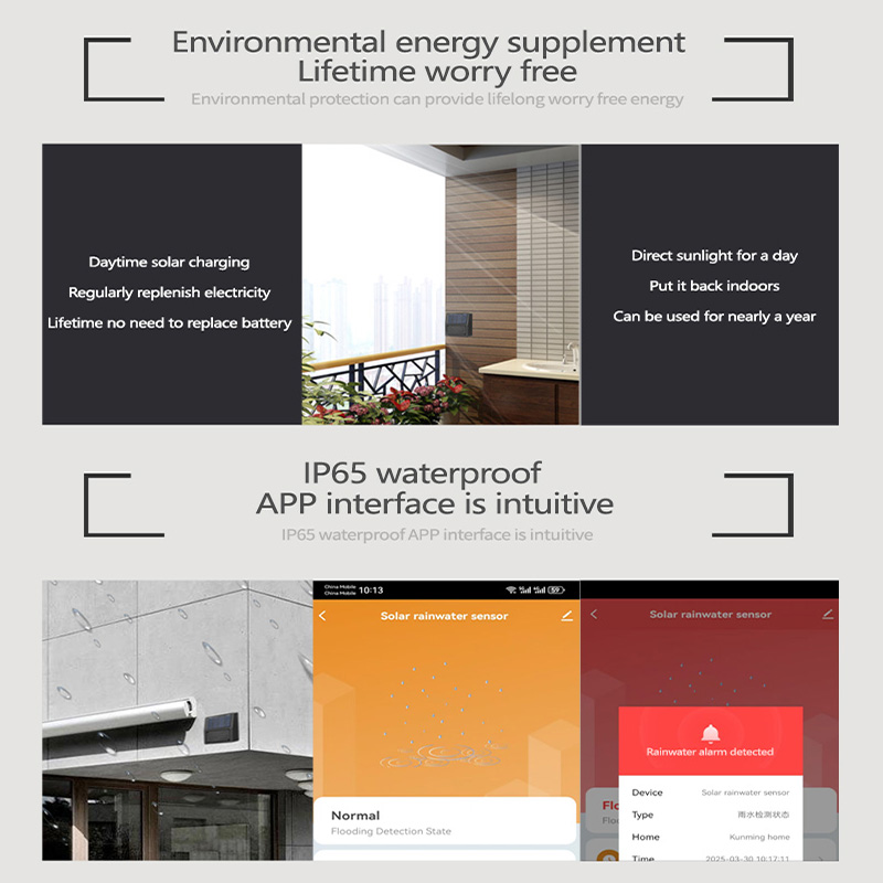Tuya Zigbee Regensensor Echtze – Smart Garden Home Assistant Bewertung und Preis