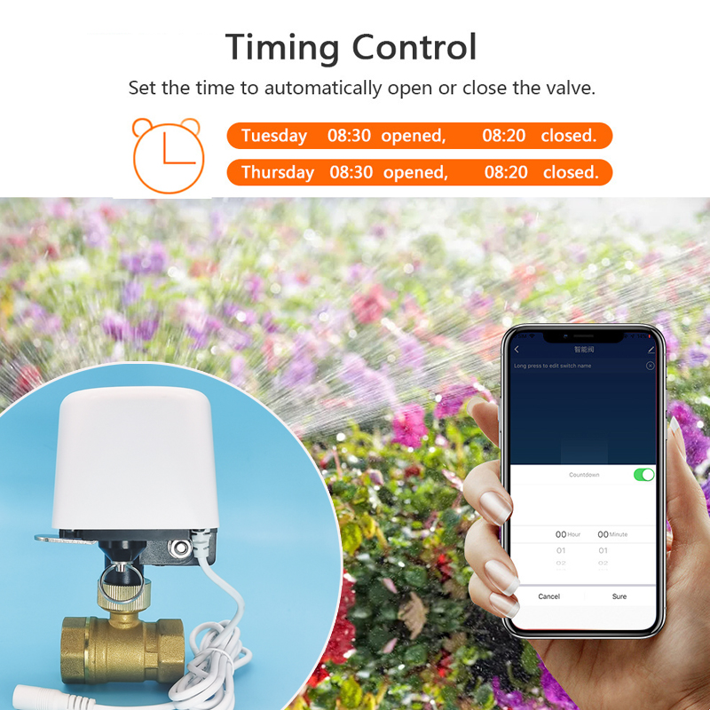 Smart Tuya WiFi Zigbee Wasserv – Smart Garden Home Assistant Bewertung und Preis