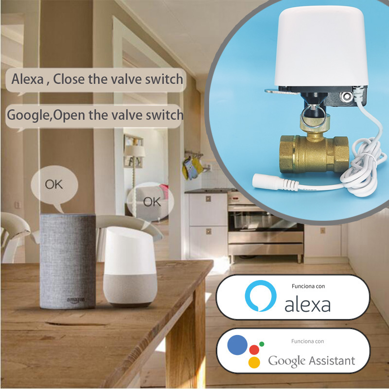 Smart Tuya WiFi Zigbee Wasserv – Smart Garden Home Assistant Bewertung und Preis