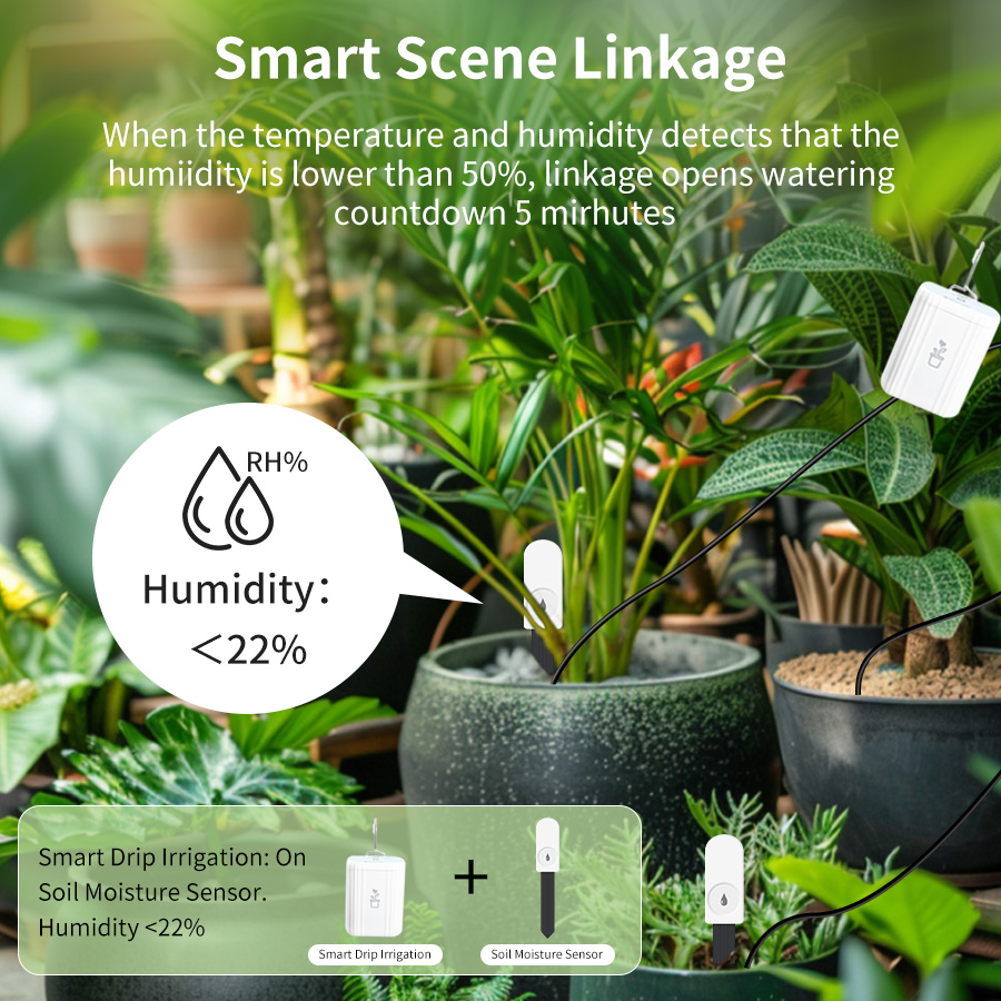 Bodentester Feuchtigkeits- und – Smart Garden Home Assistant Bewertung und Preis