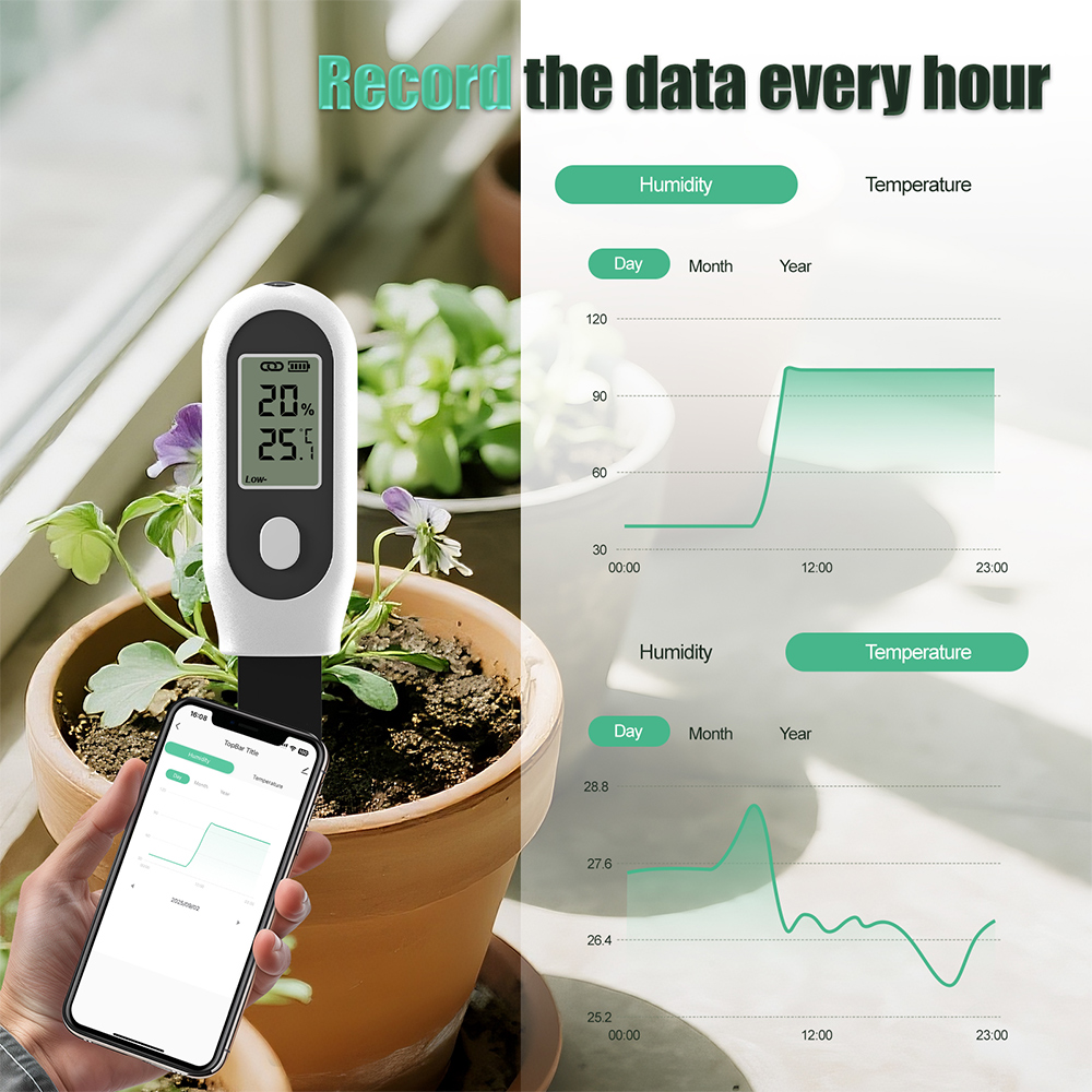 Tuya Zigbee 3-in-1-Bodentemper – Smart Garden Home Assistant Bewertung und Preis