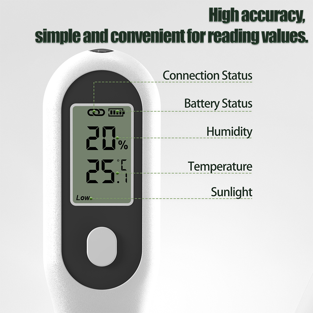Tuya Zigbee 3-in-1-Bodentemper – Smart Garden Home Assistant Bewertung und Preis